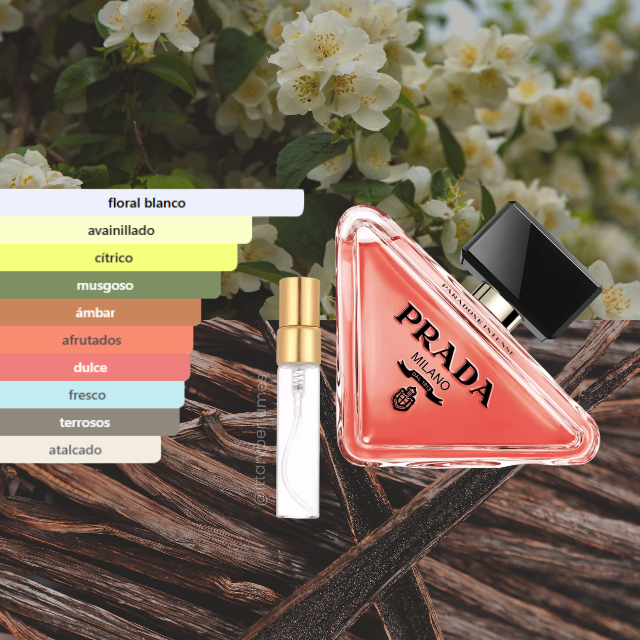Decant 5ml Prada Paradoxe Intense EDP Mujer